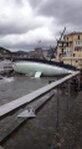 Danni della mareggiata a Rapallo
